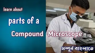 Parts Of a Compound Light Microscope in bangla | #medical