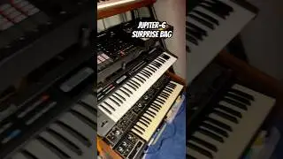 @rolandglobal Jupiter-6 always surprises me! #analogsynthesizer #analogsynth #jupiter6 #jupiter