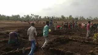 Mgnrega Work In Sutarkheda Ryt. 28/05/2021. Talab Gahrikaran