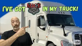 I've got MICE in my Truck!