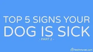 Top 5 Signs Your Dog Is Sick Part 2 | FetchMyVet