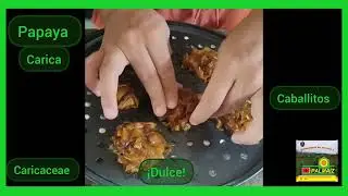 Dulce de Papaya! caballitos! #dulces #comida #agro #caricaceae #carica