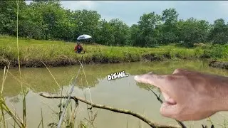 Mancing nila sampai senar putus, ikannya Segede apa?? 