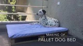 DIY Pallet Dog Bed: simple and cheap
