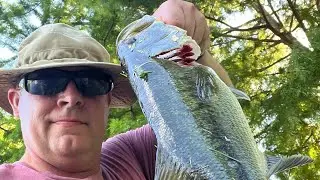 Catching my PB Large Mouth Bass In A Neighborhood Pond