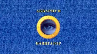 Аквариум - Удивительный мастер Лукьянов
