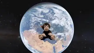 When the monkey got sent to space