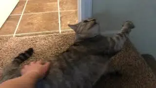Hitting that sweet spot