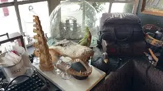 Покидаем бар 