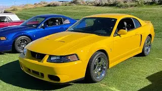 Терминаторы Mustang Cobra 2003 и 2004 годов на автосалоне