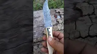 Damascus steel folding knife #brass bolester#alkyis#blade  Damascus steel #camel bone#eraser edge#