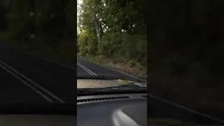 Just another Aussie hitchhiker...