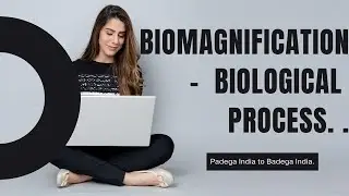 What is Biomagnification? Difference in Biomagnification, Bioaccumulation & Bioconcentration #10th