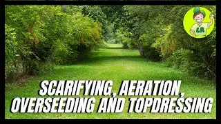 Scarifying, Aerating, Overseeding And Topdressing (full lawn renovation)