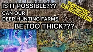 CAN WE MAKE A DEER HUNTING PROPERTY TO THICK???? NO WAY!! MAYBE???  HD 1080p