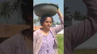 organic farming chestunnanu pls support Chanel ni subscribe chesukondi #short#ytshort #farming