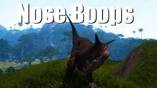 Stop Discounting carno, give chaos a chance