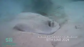 11th June 2024 Highlight Reel