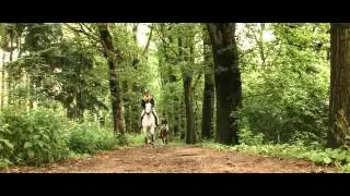 Promofilm Paardensportsector Limburg