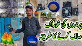 How to Clean Bird Feed 🦜 | expense and method🤔| bird feed recycle | Dawood sabir vlog | inzi or