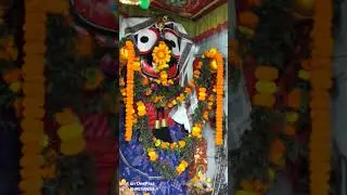 jagannath Swami nayana patha gami bhaba tume ...@new jagannath status @&hearts;️&hearts;️🙏🙏&hearts;️&hearts;️🙏🙏#little spandan