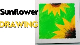 how to draw sunflowers 🌻 oil pastels sunflower drawing 🌻