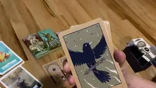 Time For Fredo To Be Brought To Justice #tarot #allsigns #justice #karma #reapwhatyousow #godfather