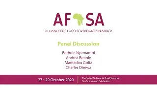 The Africa we want: Shaping policies for sustainable agroecological markets (Panel discussion)