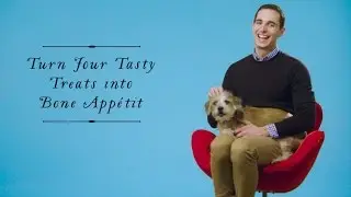 Пробник лакомств BarkShop для собак с отменным вкусом