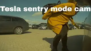Tesla Model 3 video caught in sentry mode