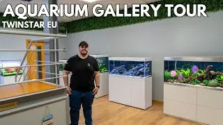 Aquarium Gallery bei Twinstar EU 🇵🇹 &ndash; Einfach wundersch&ouml;n!