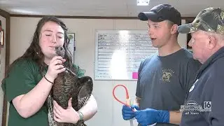 The Animals of Red Creek Wildlife Center
