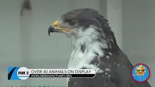 Summer of Fun:&nbsp;Spend the day at World Bird Sanctuary