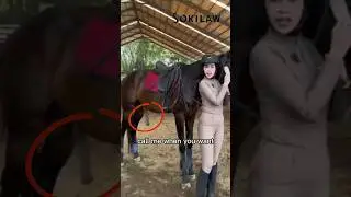 Hilarious Animal Transformation #animals #funny #funnyanimals #lolanimals #beforeandafter #shorts