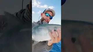 Buen d&iacute;a de pesca para despedir el a&ntilde;o con ese pes vela inmenso #fishing #sportfishing #offshore