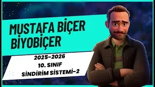 2025-2026 10. SINIF SİNDİRİM SİSTEMİ-2( İNSANDA SİNDİRİM ORGANLARI )