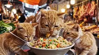 Hard working mewo cooking fried rice child #meow #cat #kitten #funny #love #emotional 