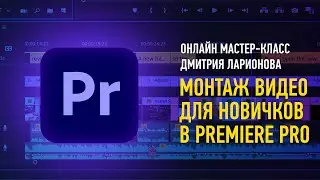 Монтаж видео для новичков в Premiere Pro. Дмитрий Ларионов