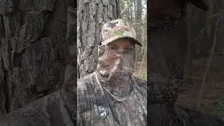 Opening Day 2024 Missouri Turkey Season! #hunting
