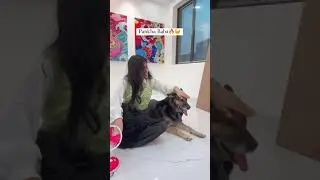 😂😂