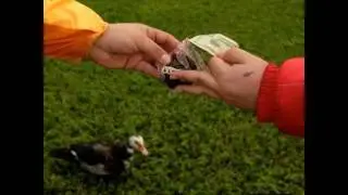 Fat Nick - All Over Me (Prod.Don Krez)