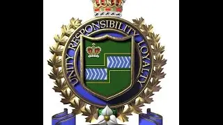 Violent Assaults in Fallsview Bvd Tourist Area