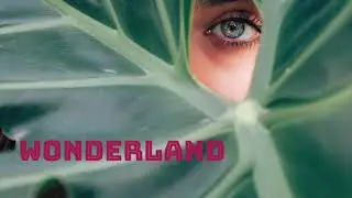 blicklicht feat. sonne & viki - wonderland