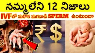 Top 12 Interesting Facts In Telugu,Unknown Facts and amazing facts, Ep.15🔥#ctcfacts