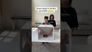 GUESS whats in the BOX gone BAD 🤣🤣🤣