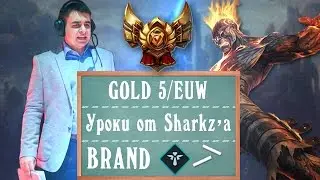 [Урок-Support] Brand | Gold V