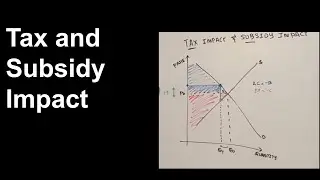 Government intervention impact of tax and subsidy
