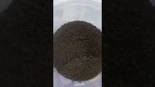 Original Assam Tea