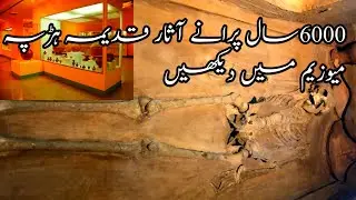 See the 6000-year-old archeology at the Harappan MuseumHistorical discovery Things Of Harappa Museum