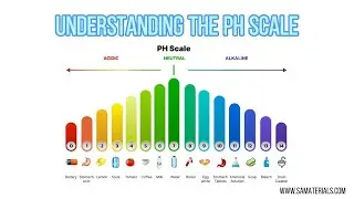 pH Scale Explained in 2 Minutes: Acids, Bases & Real-Life Examples